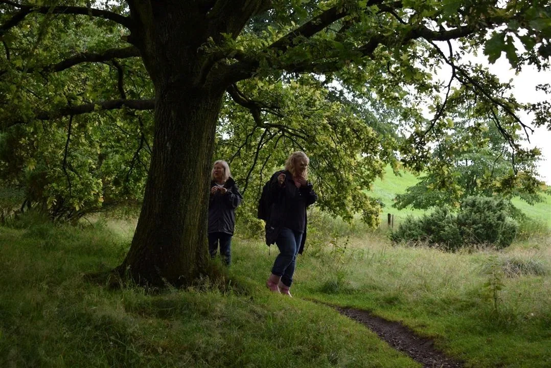 Assens and the North of Denmark 2017
